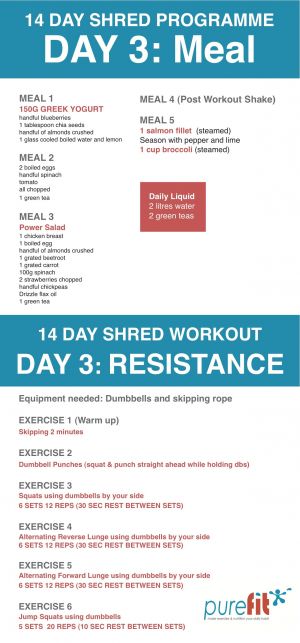DAY 3 SHRED &amp; BURN