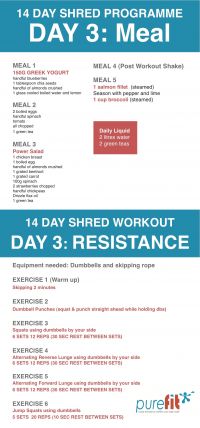 DAY 3 SHRED &amp; BURN
