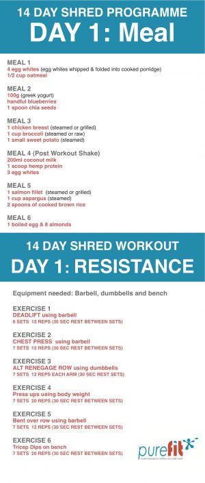 14 Day Shred Programme