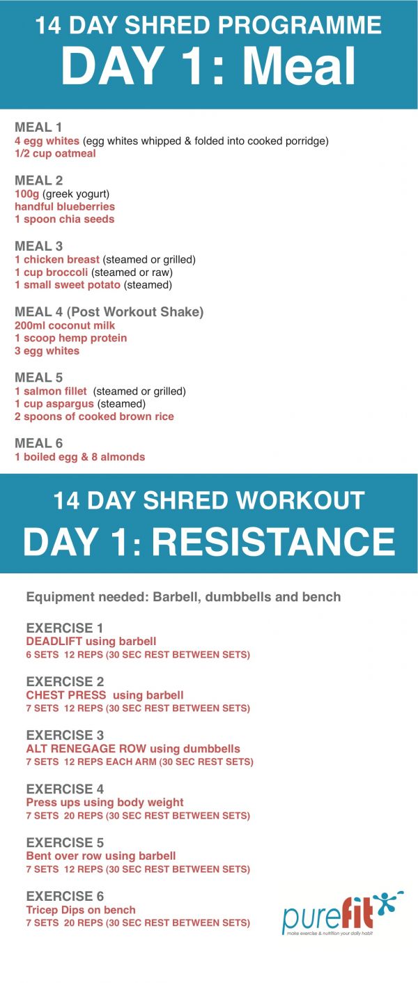 14 Day Shred Programme