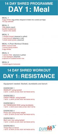 14 Day Shred Programme
