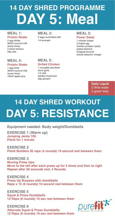 DAY 5: SHRED &amp; BURN