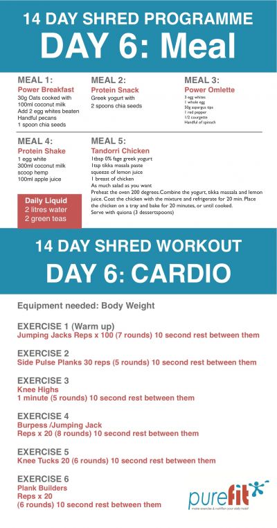 Day 6: SHRED &amp; BURN