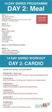 DAY 2: SHRED &amp; BURN